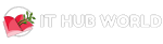 IT HUB WORLD